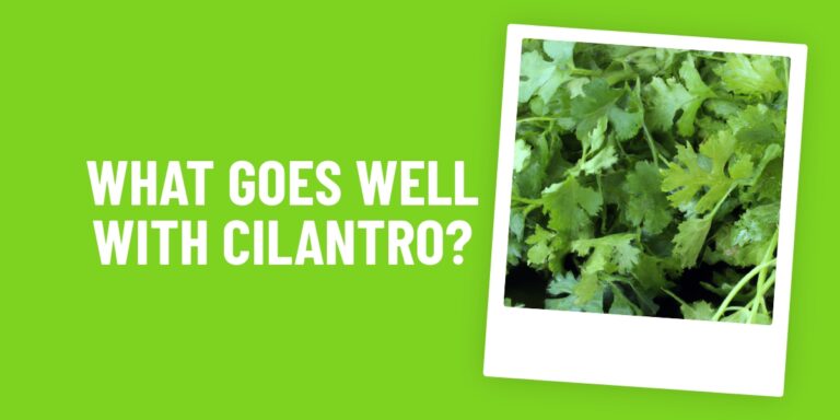 What Food Goes Well With Cilantro? 10 Delicious Combos You Need To Try!