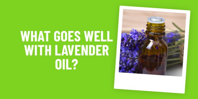 What Food Goes Well With Lavender Oil? Discover These Delicious Recipes!