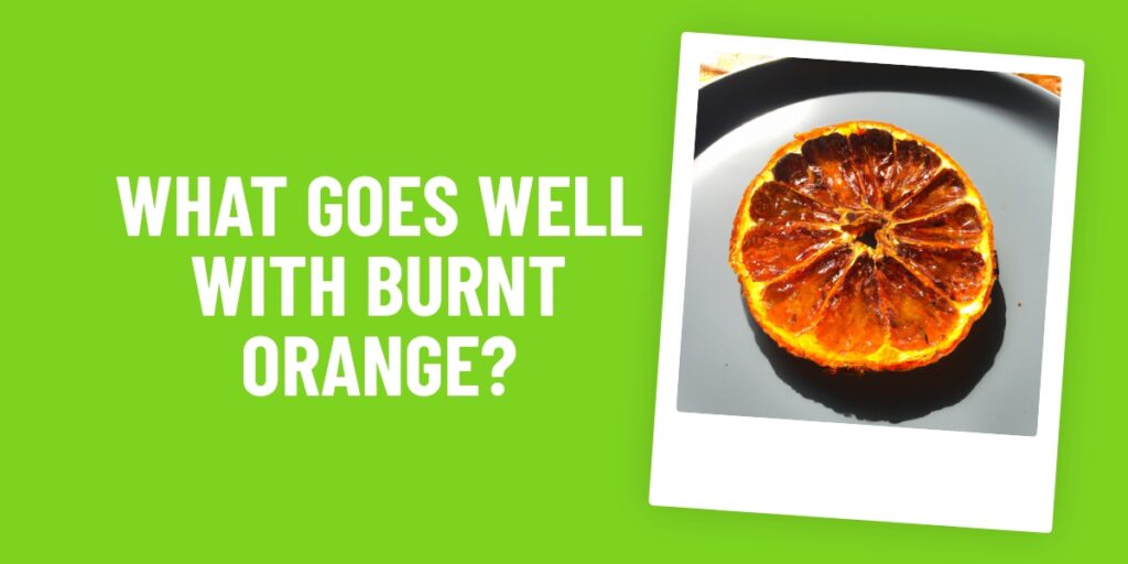 What Food Goes Well With Burnt Orange? Unusual Combinations For a Unique Flavour!